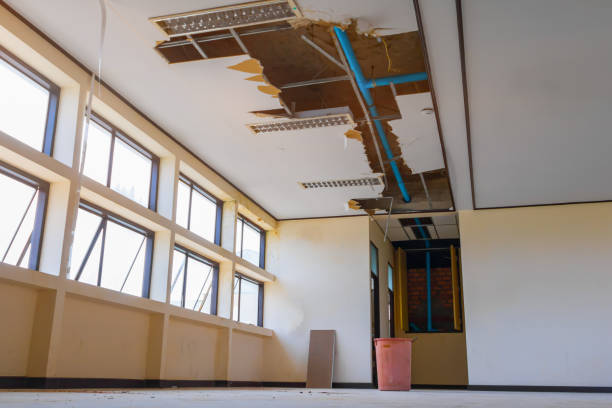 Best Basement water damage restoration  in Mount Juliet, TN