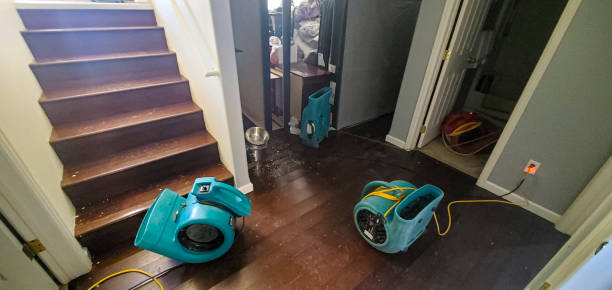  Mount Juliet, TN Water damage restoration Pros