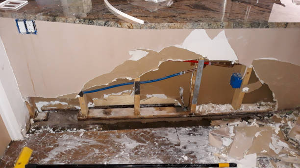 Best Flood damage cleanup  in Mount Juliet, TN