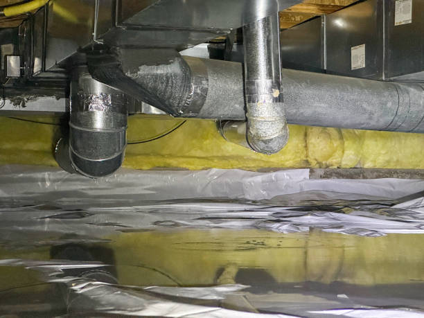 Best Carpet water damage restoration  in Mount Juliet, TN