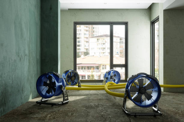 Best Ceiling water damage repair  in Mount Juliet, TN